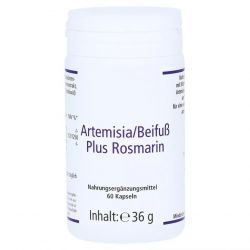 Артемизинин 150 мг капс. 60шт в Нижнем Тагиле и области фото