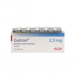 Гутрон таблетки 2,5 мг. №20 в Нижнем Тагиле и области фото
